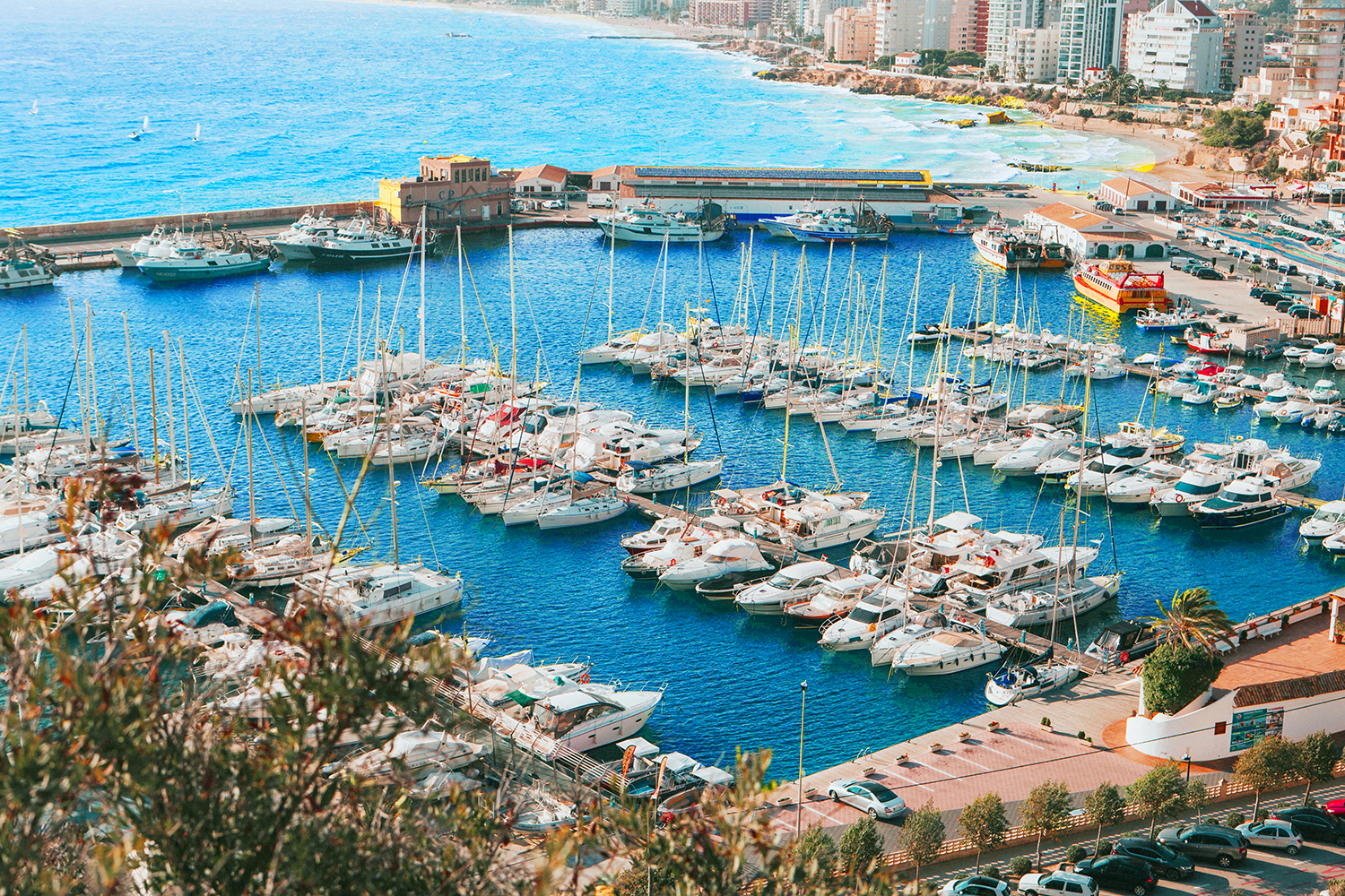 マリーナのメイン画像